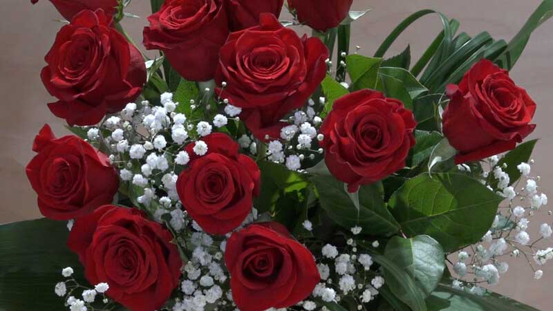 Mazzo di 12 Rose rosse a gambo lungo - immagine 4