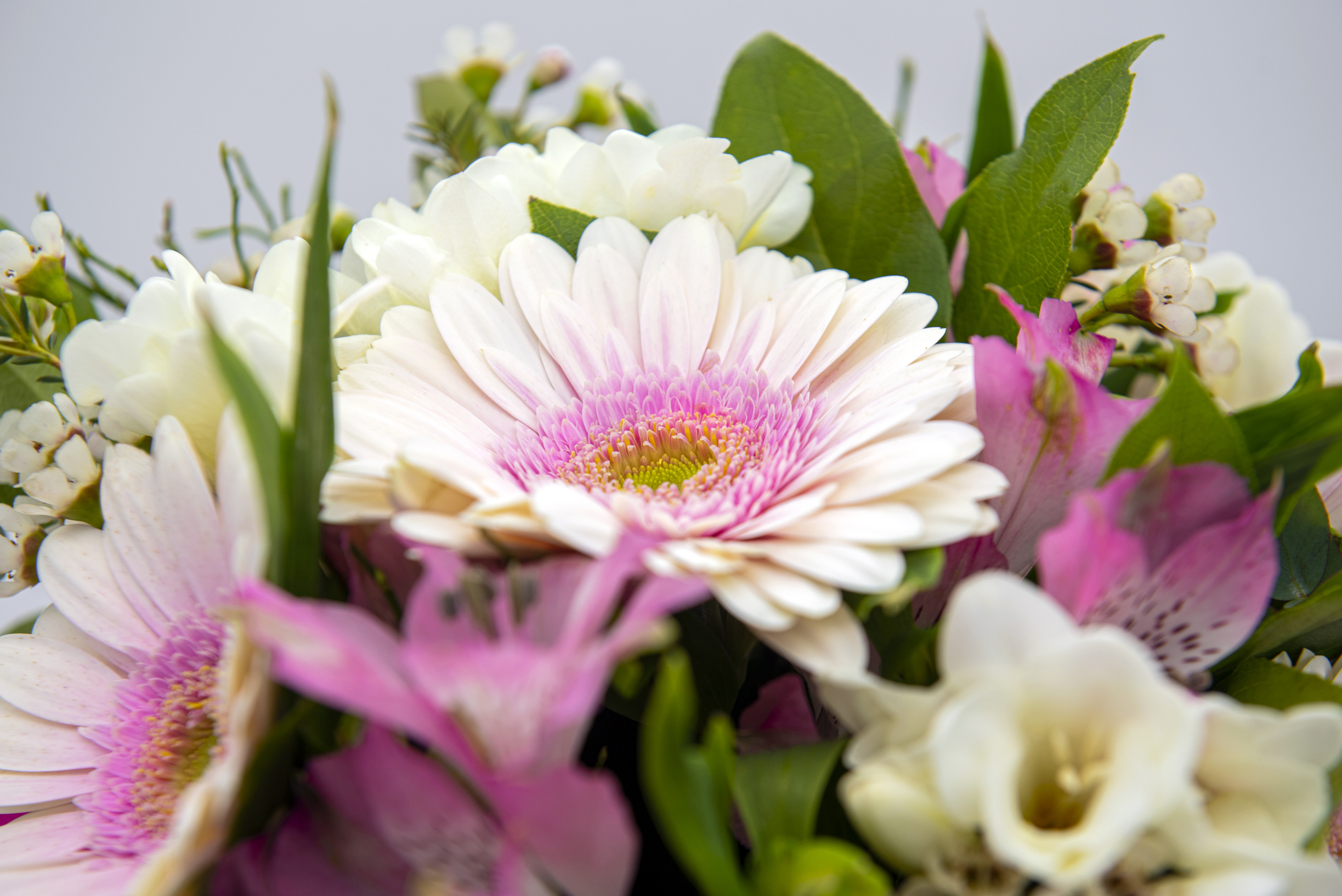 Bouquet rosa e bianco con roselline, gerbere e lisianthus - immagine 3