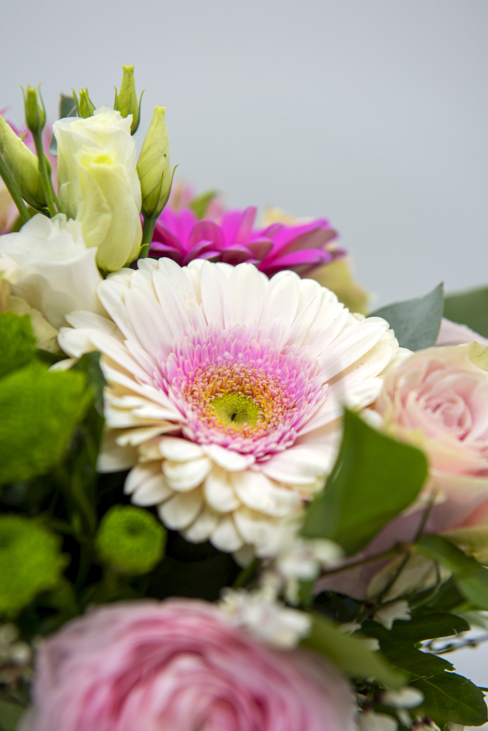 Bouquet rosa con fresie, roselline e garofano - immagine 5