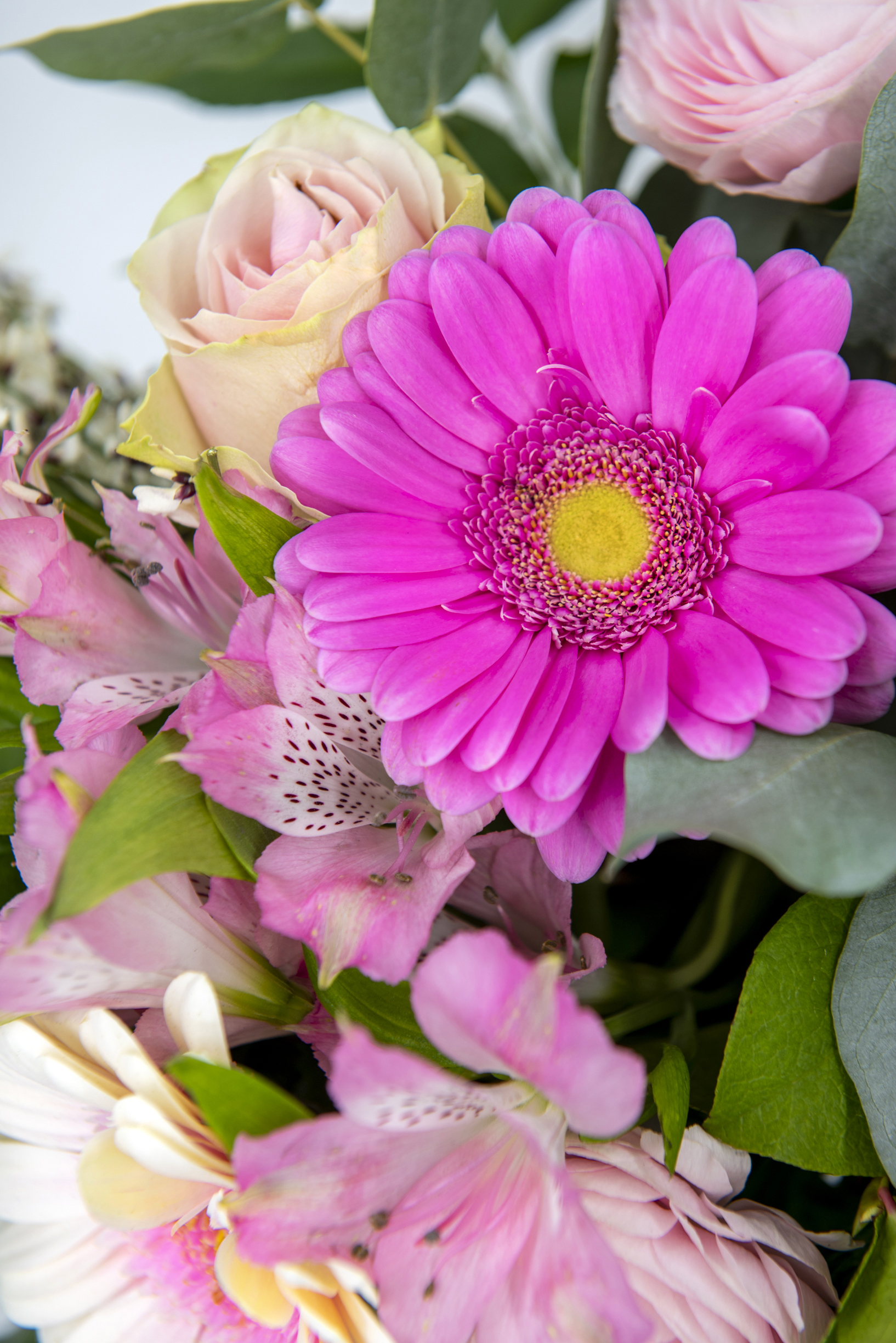 Bouquet rosa con fresie, roselline e garofano - immagine 2