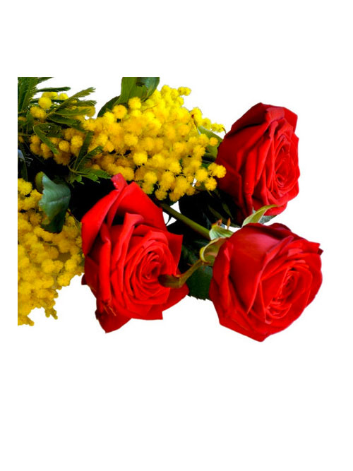 Tre rose rosse con ramo piccolo di mimosa